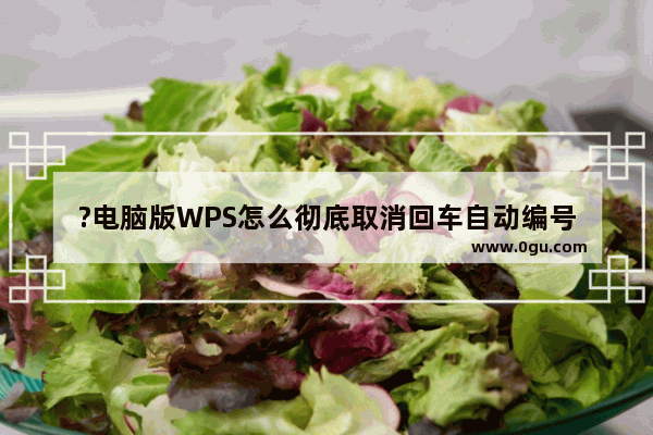 ?电脑版WPS怎么彻底取消回车自动编号