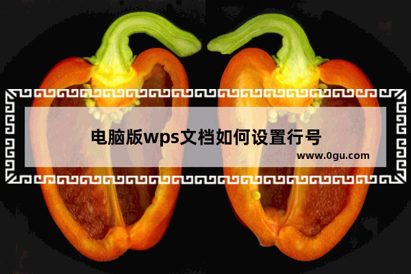 电脑版wps文档如何设置行号