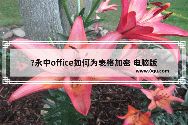 ?永中office如何为表格加密 电脑版永中office设置表格密码的方法