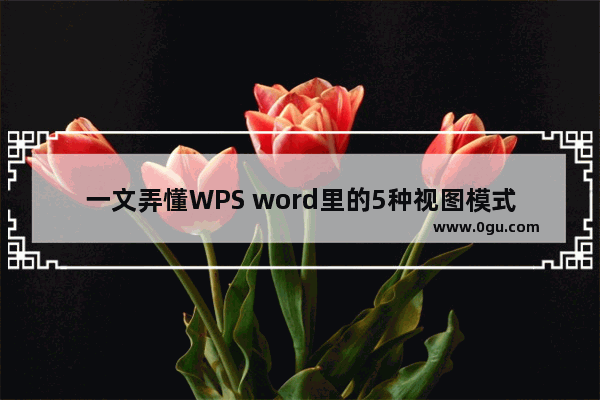 一文弄懂WPS word里的5种视图模式