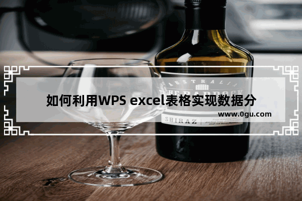 如何利用WPS excel表格实现数据分组