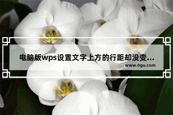 电脑版wps设置文字上方的行距却没变化怎么办