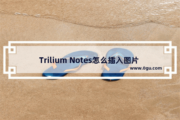 Trilium Notes怎么插入图片 Trilium Notes插入图片的方法