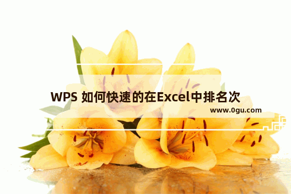 WPS 如何快速的在Excel中排名次