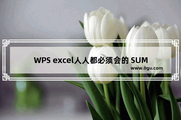 WPS excel人人都必须会的 SUM函数