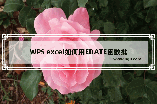 WPS excel如何用EDATE函数批量计算到期日