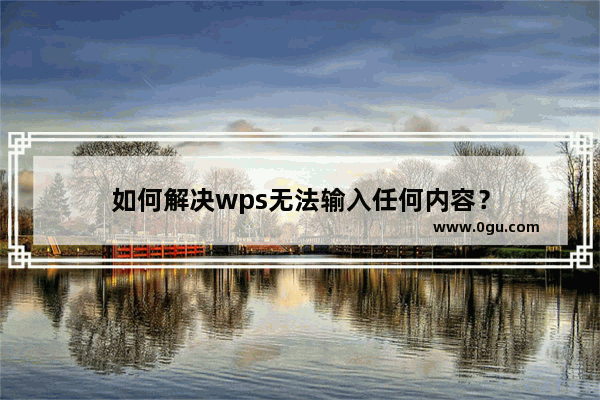 如何解决wps无法输入任何内容？