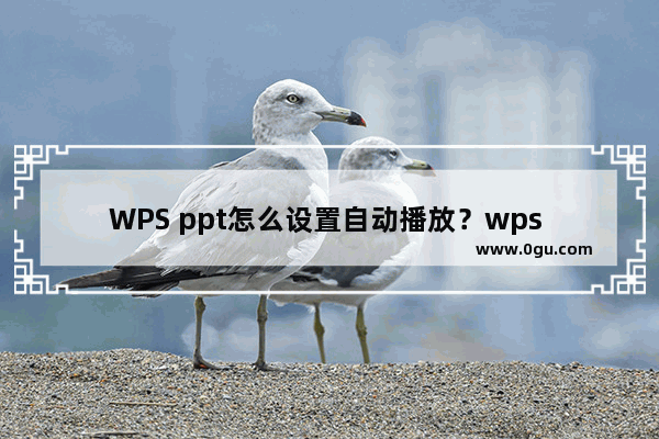 WPS ppt怎么设置自动播放？wps ppt如何设置自动放映？