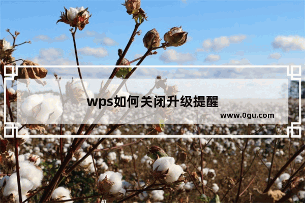 wps如何关闭升级提醒