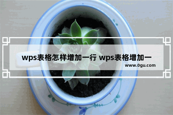 wps表格怎样增加一行 wps表格增加一行的方法步骤