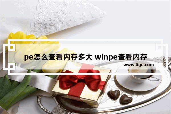 pe怎么查看内存多大 winpe查看内存