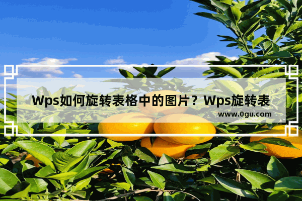 Wps如何旋转表格中的图片？Wps旋转表格中的图片的方法