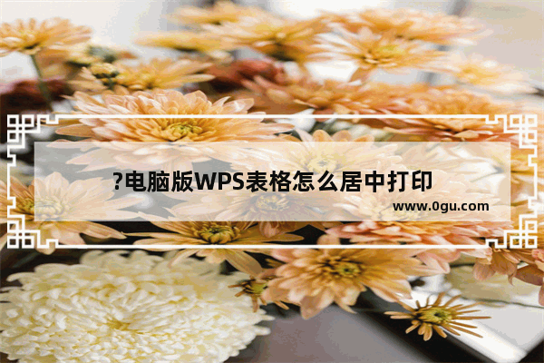 ?电脑版WPS表格怎么居中打印