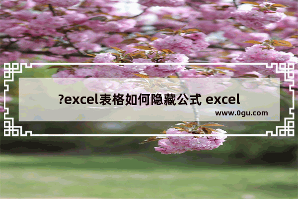 ?excel表格如何隐藏公式 excel隐藏单元格公式的方法