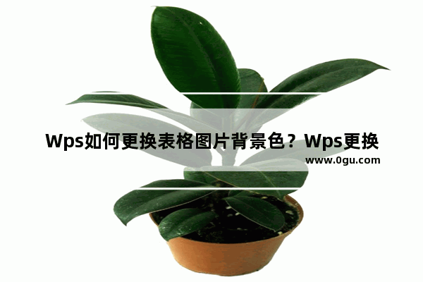 Wps如何更换表格图片背景色？Wps更换表格图片背景色方法