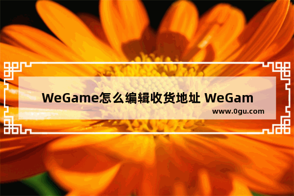 WeGame怎么编辑收货地址 WeGame编辑收货地址的方法