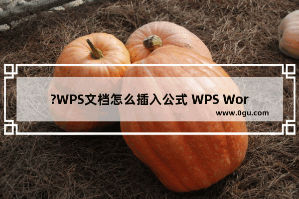 ?WPS文档怎么插入公式 WPS Word中插入公式的方法教程