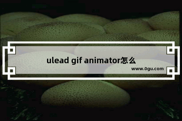 ulead gif animator怎么修改图片尺寸 ulead gif animator调整图片大小的方法