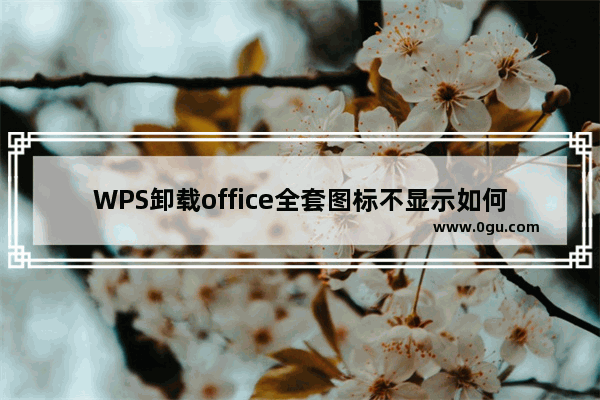 WPS卸载office全套图标不显示如何解决