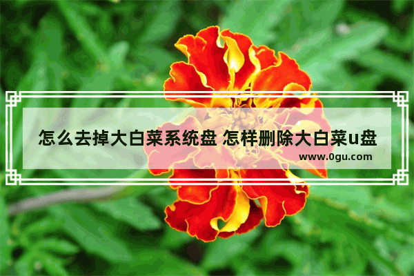 怎么去掉大白菜系统盘 怎样删除大白菜u盘装系统自带软件