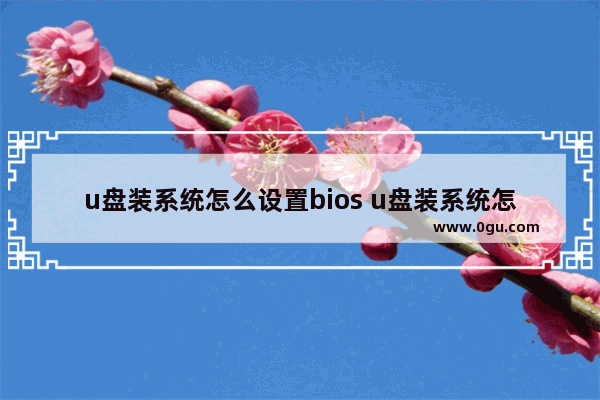 u盘装系统怎么设置bios u盘装系统怎么设置第一启动项