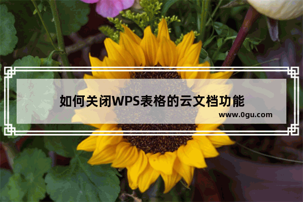 如何关闭WPS表格的云文档功能