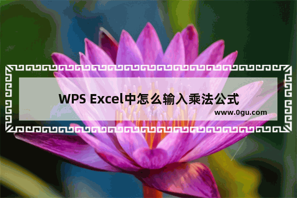 WPS Excel中怎么输入乘法公式