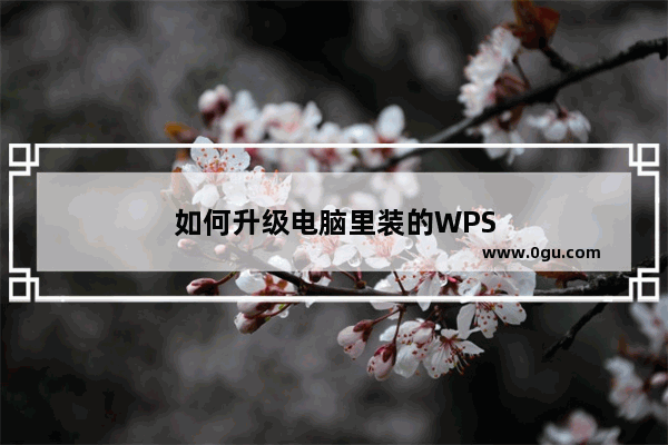 如何升级电脑里装的WPS