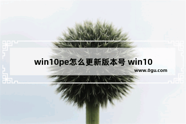 win10pe怎么更新版本号 win10pe怎么装系统