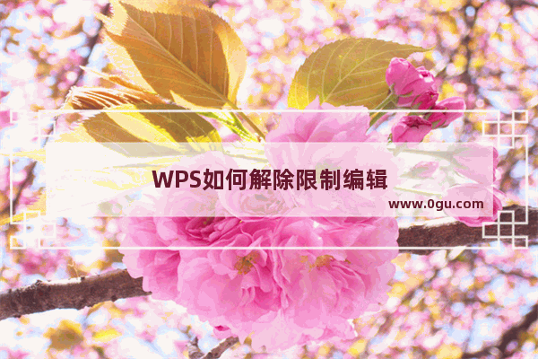 WPS如何解除限制编辑