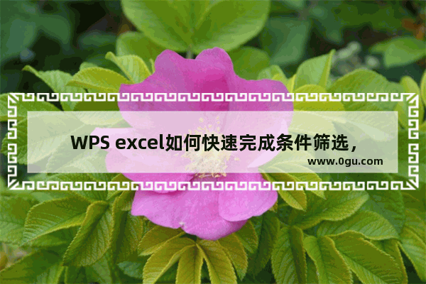 WPS excel如何快速完成条件筛选，并进行乘积求和小公式