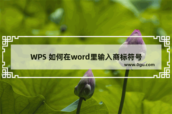 WPS 如何在word里输入商标符号