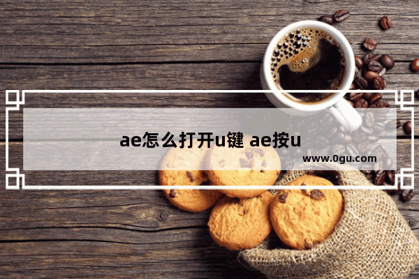 ae怎么打开u键 ae按u