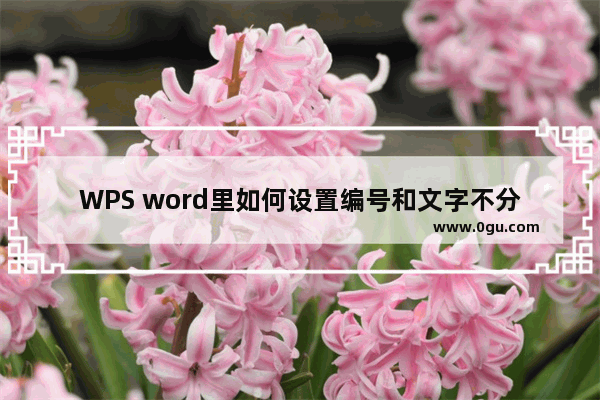 WPS word里如何设置编号和文字不分开