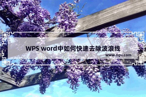 WPS word中如何快速去除波浪线