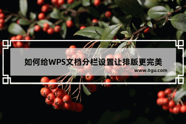 如何给WPS文档分栏设置让排版更完美