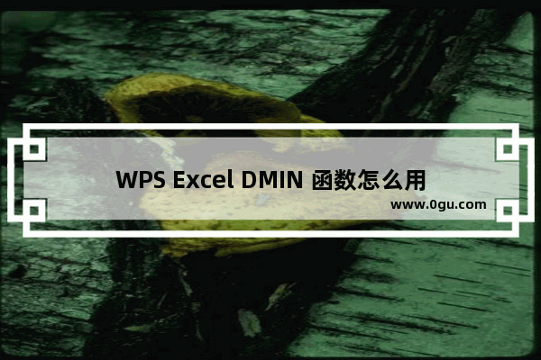 WPS Excel DMIN 函数怎么用