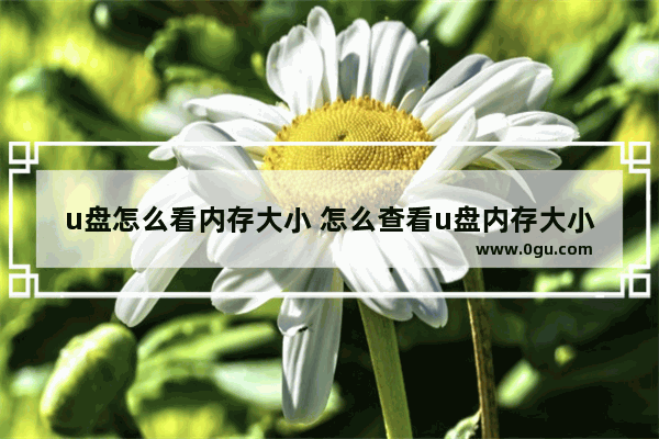 u盘怎么看内存大小 怎么查看u盘内存大小