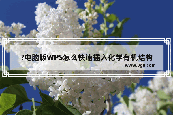 ?电脑版WPS怎么快速插入化学有机结构