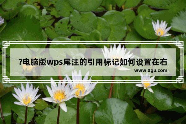 ?电脑版wps尾注的引用标记如何设置在右上角