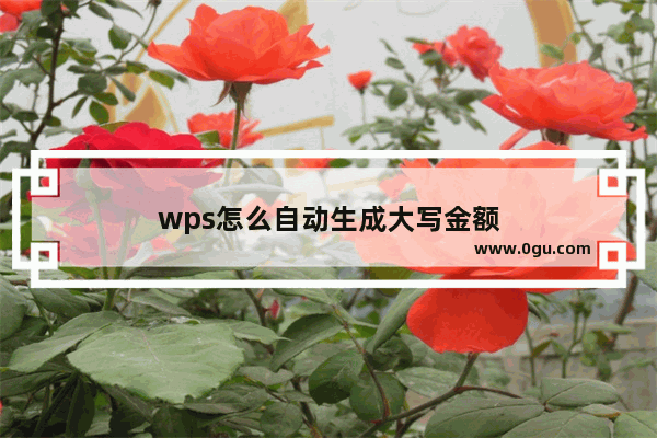 wps怎么自动生成大写金额