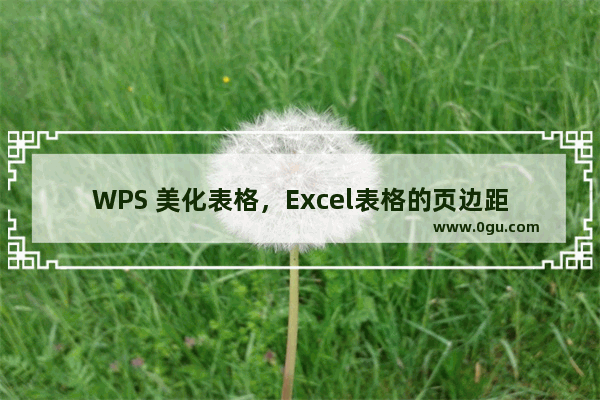 WPS 美化表格，Excel表格的页边距怎么设置