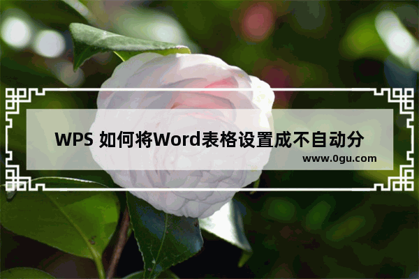 WPS 如何将Word表格设置成不自动分页