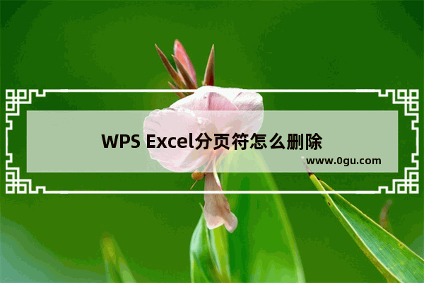 WPS Excel分页符怎么删除