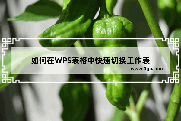 如何在WPS表格中快速切换工作表