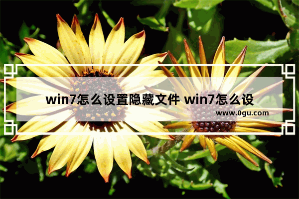 win7怎么设置隐藏文件 win7怎么设置隐藏文件夹不显示