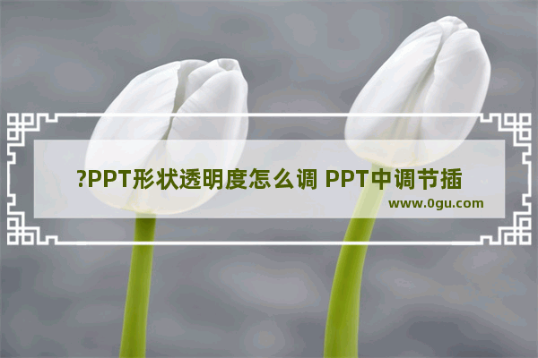 ?PPT形状透明度怎么调 PPT中调节插入形状的透明度的方法教程