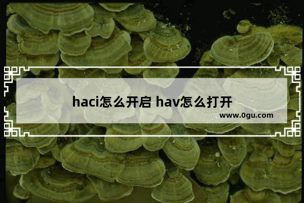 haci怎么开启 hav怎么打开