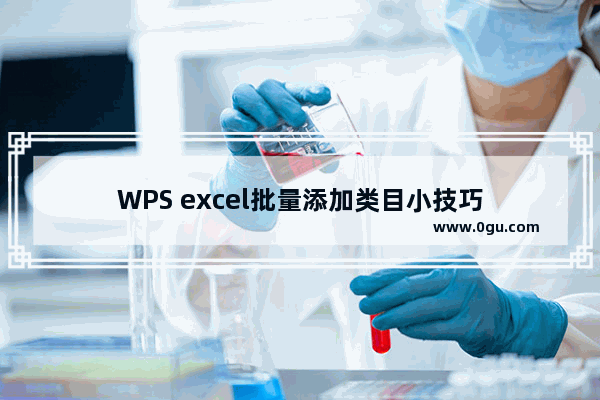 WPS excel批量添加类目小技巧