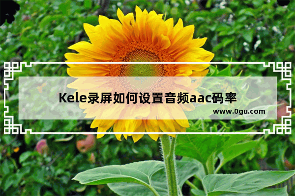 Kele录屏如何设置音频aac码率